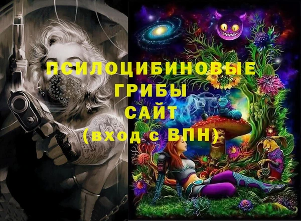 стаф Алексин