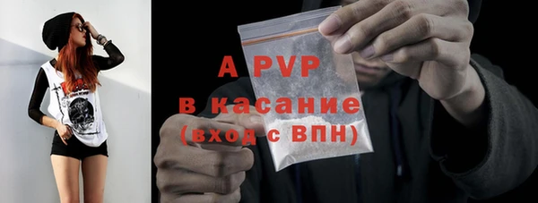 хмурый Абаза