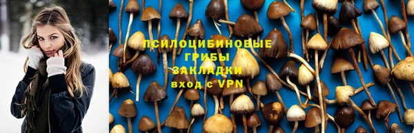 стаф Алексин