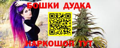 гашик Заводоуковск