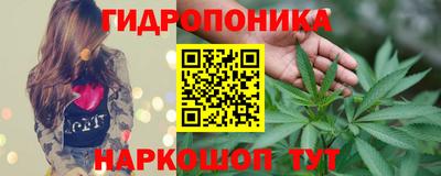 гашик Заводоуковск