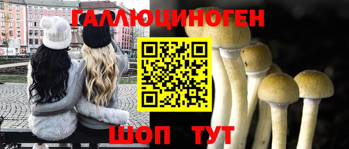 Псилоцибиновые грибы прущие грибы  Псилоцибиновые грибы Cubensis  Вход с VPN  Новоалтайск 