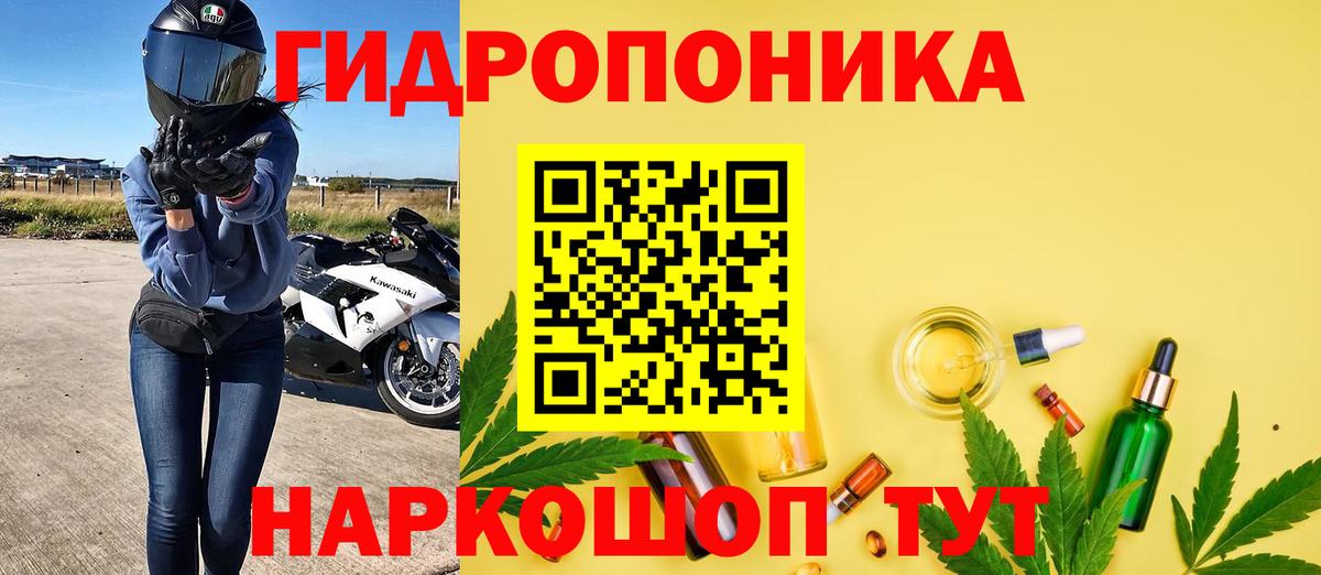 Бошки Шишки планчик Новоалтайск